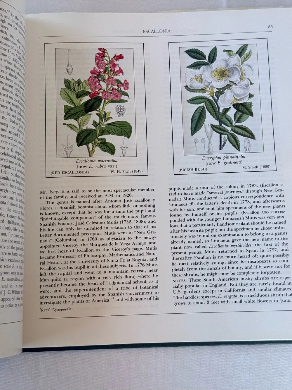 Garden Shrubs and Their Histories - Pink Hardcover by Alice M. Coats